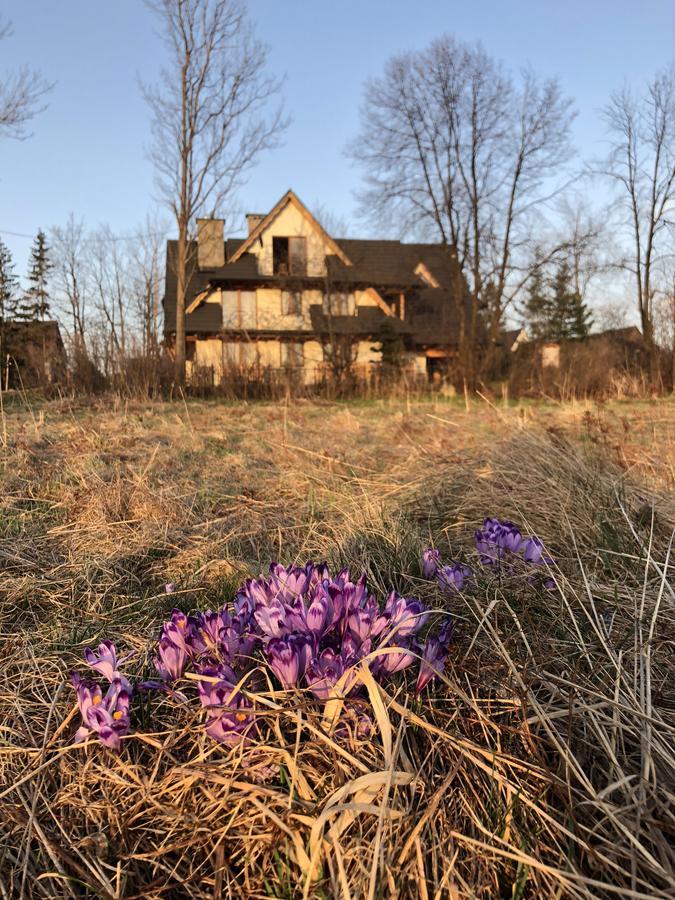 Rys Bed & Breakfast Zakopane